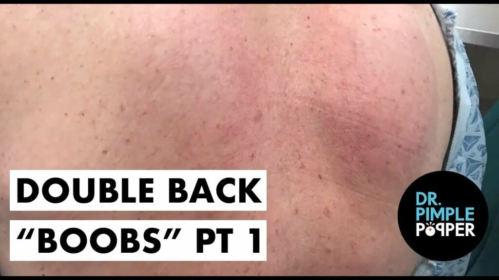 Zoobs 2 Zoobs 1