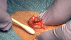 New Home 1