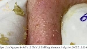 New Home 2 New Home 1