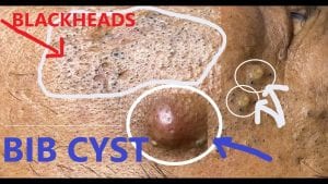 New Home 4 New Home 3