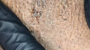 New Home 4 New Home 3