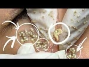 New Home 5 New Home 4