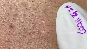 New Home 2 New Home 1